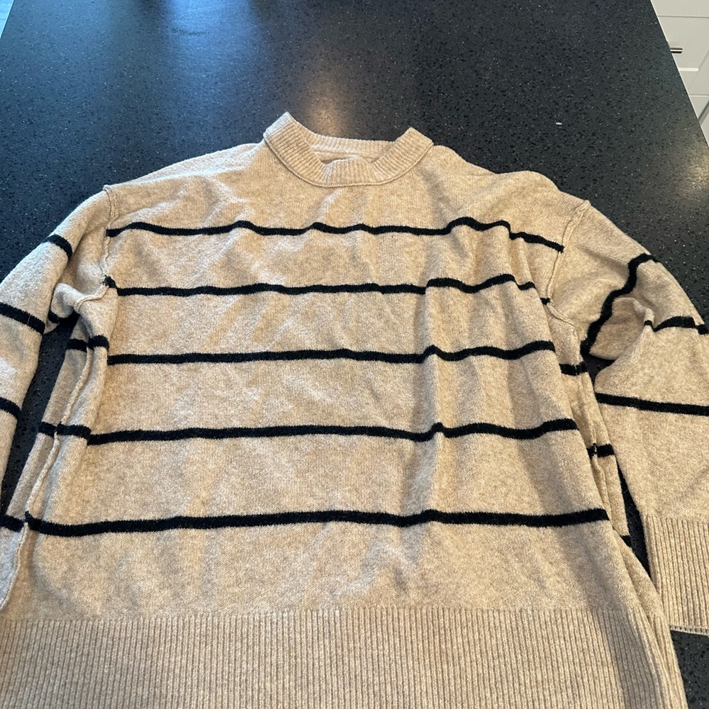 Aerie Tan and Black Crewneck Sweater with Stripes
